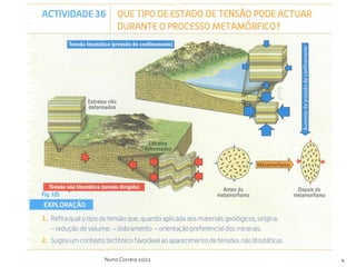 Nuno Correia 10/11   4
 