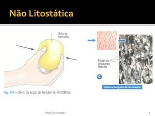 Nuno Correia 10/11   7
 