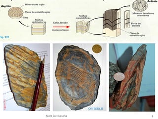 Nuno Correia 10/11   9
 