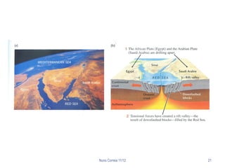 Nuno Correia 11/12   21
 