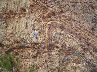 Nuno Correia 11/12   2
 