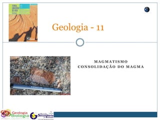 Geologia - 11


           MAGMATISMO
      CONSOLIDAÇÃO DO MAGMA
 