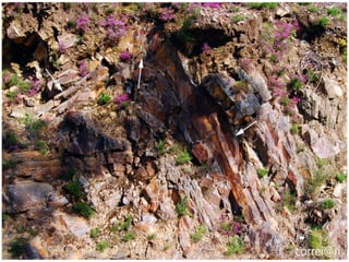 Nuno Correia 11/12   18
 