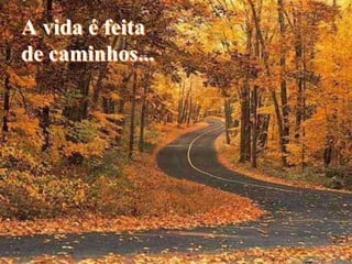 A vida é feita
de caminhos...
 