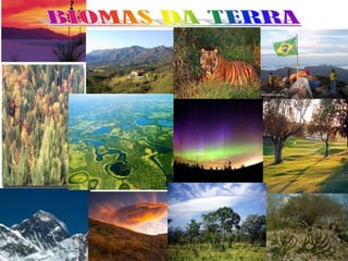 • Projeto elaborado no labinfo com a
  professora Micheli.
 