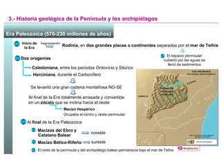 3.- Historia geológica de la Península y los archipiélagos Era Paleozoica (570-230 millones de años)   Inicio de la Era fragmentación Rodinia,  en  dos grandes placas o continentes  separados por el  mar de Tethis El espacio peninsular cubierto por las aguas se llenó de sedimentos Dos orogenias Caledoniana , entre los períodos Ordovício y Silúrico Herciniana , durante el Carbonífero Se levantó una gran cadena montañosa NO-SE Al final de la Era totalmente arrasada y convertida en un  zócalo  que se inclina hacia el oeste Macizo Hespérico Ocupaba el centro y oeste peninsular Al  final  de la Era Paleozoica Macizos del Ebro y Catalano Balear Macizo Bético-Rifeño noreste sureste El resto de la península y del archipiélago balear permanecía bajo el mar de Tethis Ampliación 
