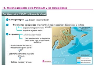 3.- Historia geológica de la Península y los archipiélagos Era Mesozoica (230-65 millones de años)   Calma geológica Erosión y sedimentación Movimientos epirogénicos  (movimientos lentos de ascenso y descenso de la corteza terrestre) Etapas de transgresión marina Etapas de regresión marina La erosión Arrasó los viejos macizos Dejó potentes capas de sedimentos calizos en las fosas de los Pirineos y las Béticas Borde oriental del macizo Hespérico ocupado por el mar Sedimentación sobre el zócalo primario Calizas, margas y arenas Ampliación 