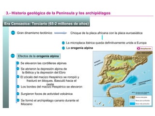 3.- Historia geológica de la Península y los archipiélagos Era Cenozoica: Terciario (65-2 millones de años)   Gran dinamismo tectónico Choque de la placa africana con la placa euroasiática La microplaca ibérica queda definitivamente unida a Europa La  orogenia alpina Se elevaron las cordilleras alpinas Se abrieron la depresión alpina de la Bética y la depresión del Ebro El zócalo del macizo Hespérico se rompió y  fracturó en bloques. Basculó hacia el oeste Los bordes del macizo Hespérico se elevaron Surgieron focos de actividad volcánica Se formó el archipiélago canario durante el Mioceno Efectos de la  orogenia alpina Ampliación 