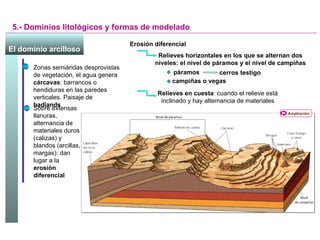 5.- Dominios litológicos y formas de modelado Zonas semiáridas desprovistas de vegetación, el agua genera  cárcavas : barrancos o hendiduras en las paredes verticales. Paisaje de  badlands Sobre extensas llanuras, alternancia de materiales duros (calizas) y blandos (arcillas, margas): dan lugar a la  erosión diferencial Relieves horizontales en los que se alternan dos niveles: el nivel de páramos y el nivel de campiñas Relieves en cuesta : cuando el relieve está inclinado y hay alternancia de materiales páramos campiñas o vegas cerros testigo El dominio arcilloso   Erosión diferencial Ampliación 