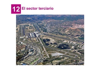 12   El sector terciario
 