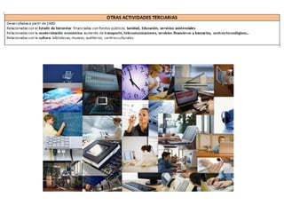 GEO2 T7 Sector terciario