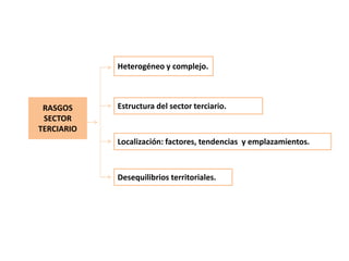 GEO2 T7 Sector terciario