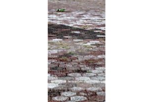 Perspectiva de Gradiente de Textura
Propia autoría
 