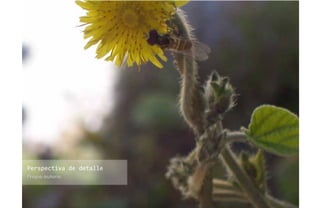 Perspectiva de detalle
Propia autoría
 