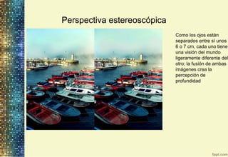 Perspectiva estereoscópica
Como los ojos están
separados entre sí unos
6 o 7 cm, cada uno tiene
una visión del mundo
ligeramente diferente del
otro; la fusión de ambas
imágenes crea la
percepción de
profundidad
 