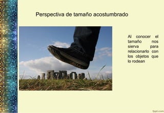 Perspectiva de tamaño acostumbrado
Al conocer el
tamaño nos
sierva para
relacionarlo con
los objetos que
lo rodean
 
