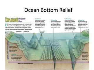 Ocean Bottom Relief
 
