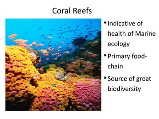 Coral Reefs
•Indicative of
health of Marine
ecology
•Primary food-
chain
•Source of great
biodiversity
 