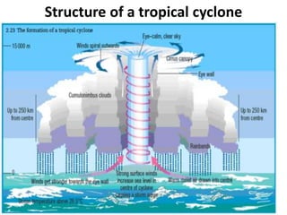 Structure of a tropical cyclone
 