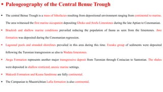 Geo 316 Geology of Nigeria for students.pptx
