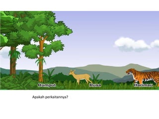 Apakah perkaitannya?
 