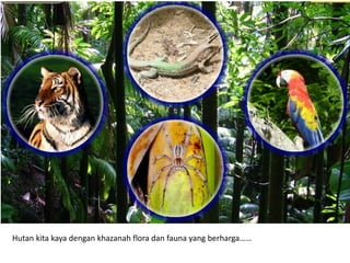 Hutan kita kaya dengan khazanah flora dan fauna yang berharga……
 