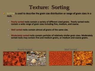 Texture: Sorting
 Sorting is used to describe the grain size distribution or range of grain sizes in a
rock.
 Poorly sorted rocks contain a variety of different sized grains. Poorly sorted rocks
contain a wide range of grain sizes including fine, medium, and coarse.
 Well sorted rocks contain almost all grains of the same size.
 Moderately sorted rocks contain particles of relatively similar grain sizes. Moderately
sorted rocks may contain fine and medium grains, or medium and coarse grains.
Poorly Sorted Well Sorted
 
