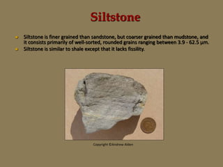 Siltstone
 Siltstone is finer grained than sandstone, but coarser grained than mudstone, and
it consists primarily of well-sorted, rounded grains ranging between 3.9 - 62.5 μm.
 Siltstone is similar to shale except that it lacks fissility.
Copyright ©Andrew Alden
 