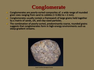 Conglomerate
 Conglomerates are poorly-sorted composites of a wide range of rounded
grain sizes ranging from sand to cobbles (< 0.062 to > 2 mm).
 Conglomerates usually contain a framework of large grains held together
by a matrix of sands, silt, and clay-sized particles.
 The combination of poorly-sorted, predominantly coarse, rounded grains
suggests that conglomerates form in high-energy environments such as
steep-gradient streams.
South Carolina Geological Survey
 