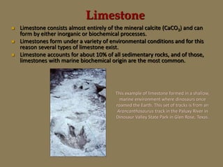  Limestone consists almost entirely of the mineral calcite (CaCO3) and can
form by either inorganic or biochemical processes.
 Limestones form under a variety of environmental conditions and for this
reason several types of limestone exist.
 Limestone accounts for about 10% of all sedimentary rocks, and of those,
limestones with marine biochemical origin are the most common.
This example of limestone formed in a shallow,
marine environment where dinosaurs once
roamed the Earth. This set of tracks is from an
Arancanthosaurus track in the Paluxy River in
Dinosaur Valley State Park in Glen Rose, Texas.
Limestone
 