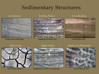 Sedimentary Structures
Cross-Bedding
Copyright @Marli Miller
Ripple Marks
Copyright @ Bruce Molnia, Terra Photographics
Mud Cracks
Courtesy NASA Visible Earth
Ripples and Mudcracks
Copyright @Michael Collier
Copyright @ Bruce Molnia, USGS
Bedding Planes
Laminations
Copyright @ Bruce Molnia, USGS
 