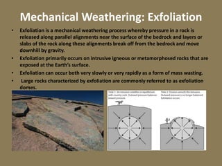 Mechanical Weathering: Exfoliation
• Exfoliation is a mechanical weathering process whereby pressure in a rock is
released along parallel alignments near the surface of the bedrock and layers or
slabs of the rock along these alignments break off from the bedrock and move
downhill by gravity.
• Exfoliation primarily occurs on intrusive igneous or metamorphosed rocks that are
exposed at the Earth’s surface.
• Exfoliation can occur both very slowly or very rapidly as a form of mass wasting.
• Large rocks characterized by exfoliation are commonly referred to as exfoliation
domes.
 