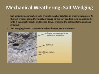 Mechanical Weathering: Salt Wedging
• Salt wedging occurs when salts crystallize out of solution as water evaporates. As
the salt crystals grow, they apply pressure to the surrounding rock weakening it,
until it eventually cracks and breaks down, enabling the salt crystal to continue
growing.
• Salt wedging is most common in drier climates, such as deserts.
 