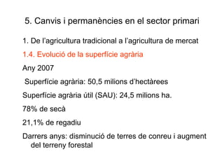 5. Canvis i permanències en el sector primari 1. De l’agricultura tradicional a l’agricultura de mercat 1.4. Evolució de la superfície agrària Any 2007 Superfície agrària: 50,5 milions d’hectàrees Superfície agrària útil (SAU): 24,5 milions ha. 78% de secà 21,1% de regadiu Darrers anys: disminució de terres de conreu i augment del terreny forestal 