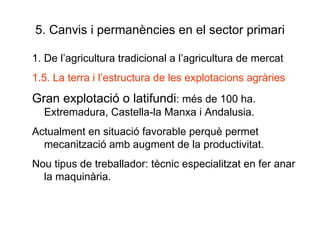 5. Canvis i permanències en el sector primari 1. De l’agricultura tradicional a l’agricultura de mercat 1.5. La terra i l’estructura de les explotacions agràries Gran explotació o latifundi : més de 100 ha. Extremadura, Castella-la Manxa i Andalusia. Actualment en situació favorable perquè permet mecanització amb augment de la productivitat. Nou tipus de treballador: tècnic especialitzat en fer anar la maquinària. 