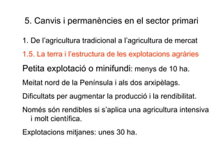 5. Canvis i permanències en el sector primari 1. De l’agricultura tradicional a l’agricultura de mercat 1.5. La terra i l’estructura de les explotacions agràries Petita explotació o minifundi : menys de 10 ha.  Meitat nord de la Península i als dos arxipèlags. Dificultats per augmentar la producció i la rendibilitat.  Només són rendibles si s’aplica una agricultura intensiva i molt científica. Explotacions mitjanes: unes 30 ha.  