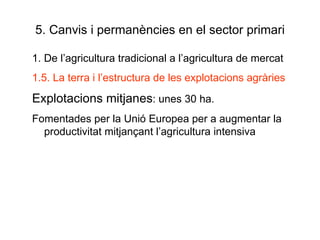 5. Canvis i permanències en el sector primari 1. De l’agricultura tradicional a l’agricultura de mercat 1.5. La terra i l’estructura de les explotacions agràries Explotacions mitjanes : unes 30 ha.  Fomentades per la Unió Europea per a augmentar la productivitat mitjançant l’agricultura intensiva 