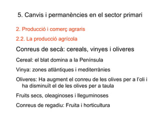 5. Canvis i permanències en el sector primari 2. Producció i comerç agraris 2.2. La producció agrícola Conreus de secà: cereals, vinyes i oliveres Cereal: el blat domina a la Península Vinya: zones atlàntiques i mediterrànies Oliveres: Ha augment el conreu de les olives per a l’oli i ha disminuït el de les olives per a taula Fruits secs, oleaginoses i lleguminoses Conreus de regadiu: Fruita i horticultura 