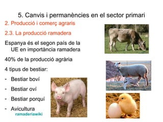 5. Canvis i permanències en el sector primari 2. Producció i comerç agraris 2.3. La producció ramadera Espanya és el segon país de la UE en importància ramadera 40% de la producció agrària 4 tipus de bestiar: Bestiar boví Bestiar oví Bestiar porquí Avicultura ramaderiawiki 