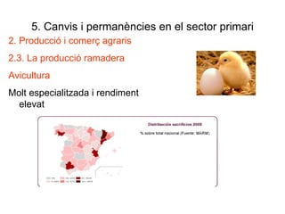 5. Canvis i permanències en el sector primari 2. Producció i comerç agraris 2.3. La producció ramadera Avicultura Molt especialitzada i rendiment elevat 
