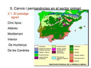 5. Canvis i permanències en el sector primari 3.1. El paisatge agrari Cinc tipus: Atlàntic Mediterrani Interior De muntanya De les Canàries 
