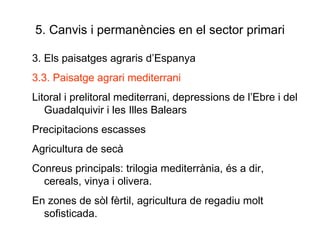 5. Canvis i permanències en el sector primari 3. Els paisatges agraris d’Espanya 3.3. Paisatge agrari mediterrani Litoral i prelitoral mediterrani, depressions de l’Ebre i del Guadalquivir i les Illes Balears Precipitacions escasses Agricultura de secà Conreus principals: trilogia mediterrània, és a dir, cereals, vinya i olivera. En zones de sòl fèrtil, agricultura de regadiu molt sofisticada.  