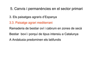 5. Canvis i permanències en el sector primari 3. Els paisatges agraris d’Espanya 3.3. Paisatge agrari mediterrani Ramaderia de bestiar oví i cabrum en zones de secà Bestiar  boví i porquí de tipus intensiu a Catalunya A Andalusia predominen els latifundis 