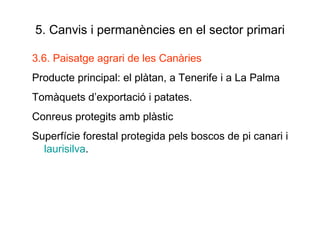 5. Canvis i permanències en el sector primari 3.6. Paisatge agrari de les Canàries Producte principal: el plàtan, a Tenerife i a La Palma Tomàquets d’exportació i patates. Conreus protegits amb plàstic Superfície forestal protegida pels boscos de pi canari i  laurisilva . 