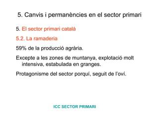 5. Canvis i permanències en el sector primari 5.  El sector primari català 5.2. La ramaderia 59% de la producció agrària.  Excepte a les zones de muntanya, explotació molt intensiva, estabulada en granges. Protagonisme del sector porquí, seguit de l’oví. ICC SECTOR PRIMARI 