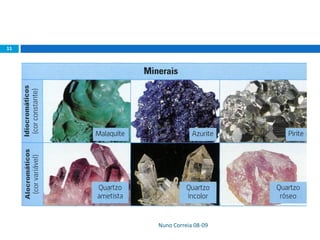 Nuno Correia 08-09
11
 