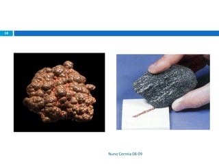 Nuno Correia 08-09
18
 