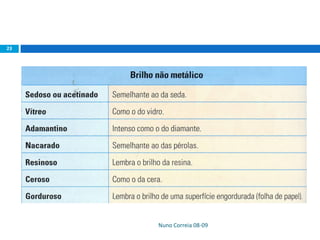 Nuno Correia 08-09
23
 