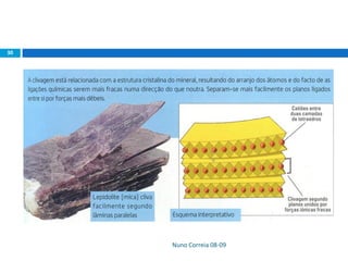 Nuno Correia 08-09
30
 