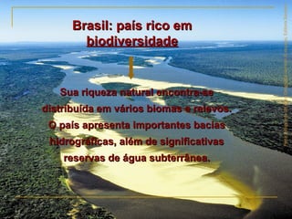 Brasil: país rico emBrasil: país rico em
biodiversidadebiodiversidade
Sua riqueza natural encontra-seSua riqueza natural encontra-se
distribuída em vários biomas e relevos.distribuída em vários biomas e relevos.
O país apresenta importantes baciasO país apresenta importantes bacias
hidrográficas, além de significativashidrográficas, além de significativas
reservas de água subterrânea.reservas de água subterrânea.
ParteintegrantedaobraGeografiahomem&espaço,EditoraSaraiva.
 